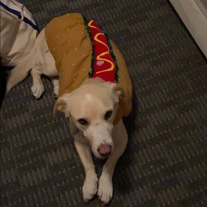 Hot dog costume